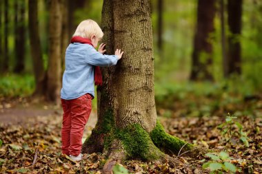 Küçük çocuk ormanda yürüyüş sırasında oynamaya