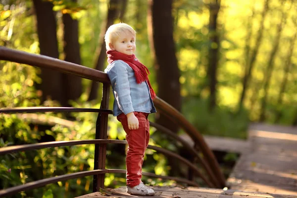 Pequeño niño disfrutar de un paseo en el bosque soleado o en el parque de verano —  Fotos de Stock