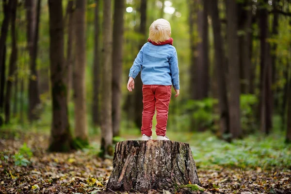 Liten pojke som spelar på trä stubbe under promenad i skogen — Stockfoto