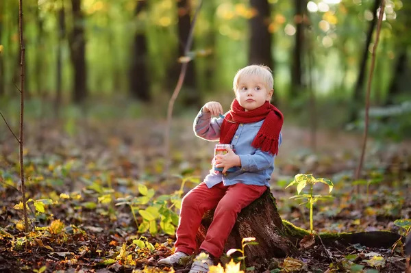 Ragazzino seduto su ceppo di legno e mangiare pranzo sano durante una passeggiata nella foresta. Ragazzo con cibo in scatola da pranzo . — Foto Stock