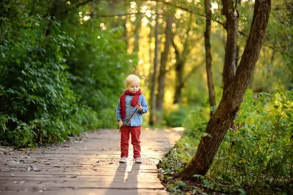 Malý chlapec hraje při procházce v lese — Stock fotografie