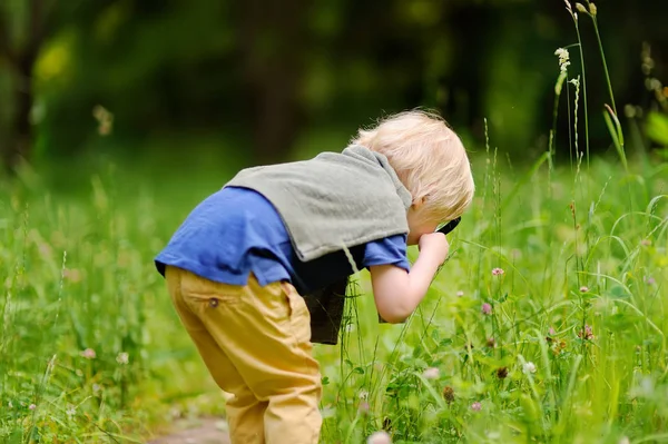 Charming kid exploring nature with magnifying glass — Stock Photo, Image