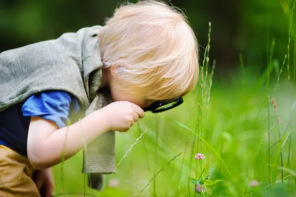 Okouzlující dítě, poznávání přírody s lupou — Stock fotografie