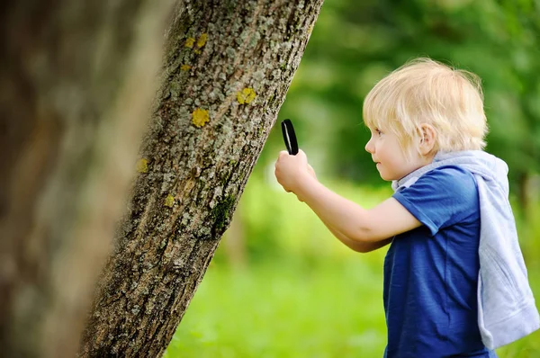 Okouzlující dítě, poznávání přírody s lupou — Stock fotografie