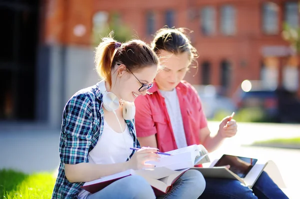 Jeunes étudiants heureux avec des livres et des notes à l'extérieur — Photo