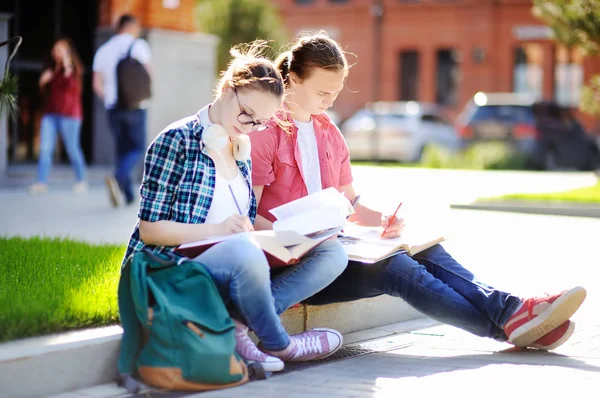 Jeunes étudiants heureux avec des livres et des notes à l'extérieur — Photo