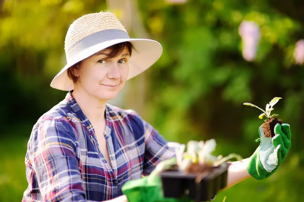 Retrato de una hermosa jardinera de mediana edad sonriente — Foto de Stock