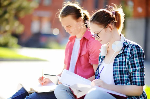 Jeunes étudiants heureux avec des livres et des notes à l'extérieur — Photo