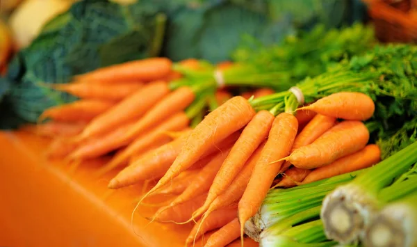 Finocchio biologico sano e fresco e carote — Foto Stock