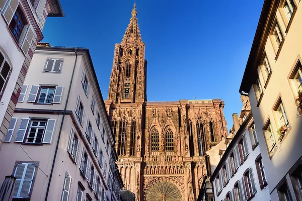 Bela Catedral Notre Dame de Estrasburgo sob a luz do pôr do sol. Alsácia, França — Fotografia de Stock