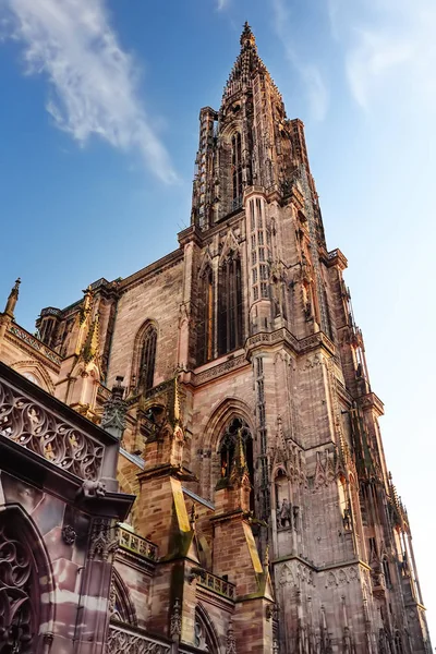 Parte da bela Catedral Notre Dame de Estrasburgo sob a luz do sol. Alsácia, França — Fotografia de Stock