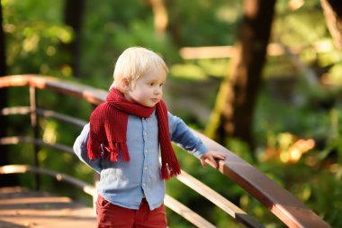 Küçük çocuk zevk gezinti güneşli ormandaki veya yaz park