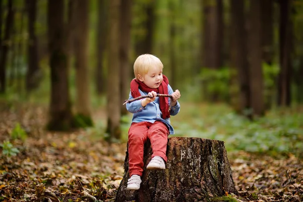 Ragazzino che gioca su ceppo di legno durante una passeggiata nella foresta — Foto Stock