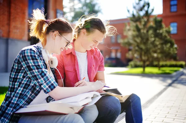 Jeunes étudiants heureux avec des livres et des notes à l'extérieur — Photo