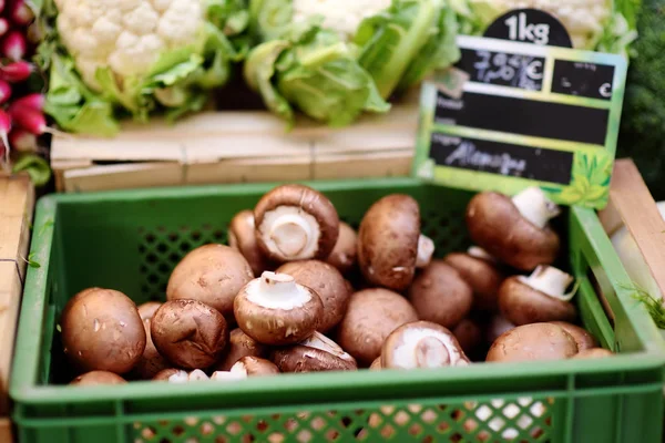 Fresh bio mushrooms on farmer market in Strasbourg, France