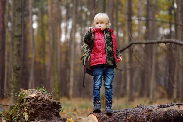 Niño explorador con mochila y linterna durante el senderismo en el bosque de otoño . —  Fotos de Stock