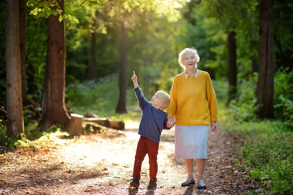 Die betagte Großmutter und ihr kleines Enkelkind spazieren zusammen im sonnigen Sommerpark. Oma und Enkel. — Stockfoto