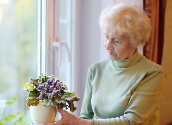 Portrait de belle femme âgée aux cheveux gris bouclés. Les personnes âgées sont debout près de la fenêtre et prennent soin des fleurs à la maison . — Photo
