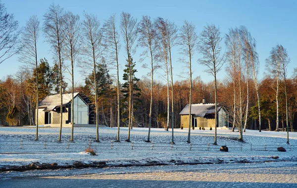 Letní domy na ostrově za větrného zimního dne Saaremaa, Estonsko. Pohled z okna auta. — Stock fotografie
