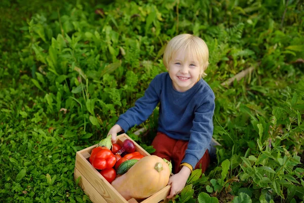 Anak Kecil Yang Lucu Menikmati Panen Organik Kebun Domestik Makanan — Stok Foto