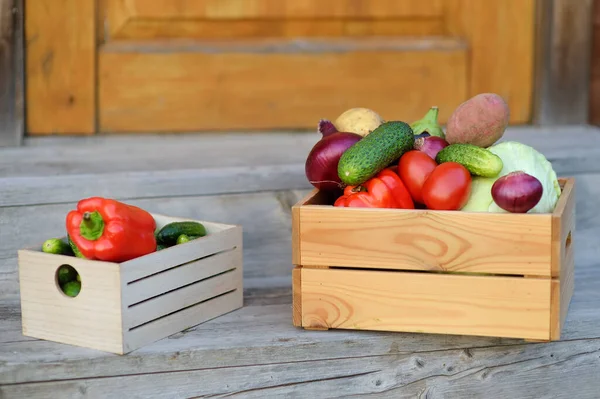 Ahırın verandasında organik sebzelerle dolu iki tahta kutu. Yerel üretim. Hasat zamanı.