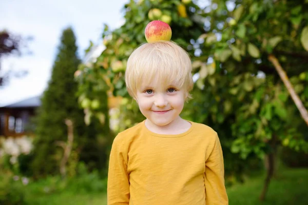 Kleine Jongen Die Plezier Heeft Met Appel Zijn Hoofd Binnentuin — Stockfoto