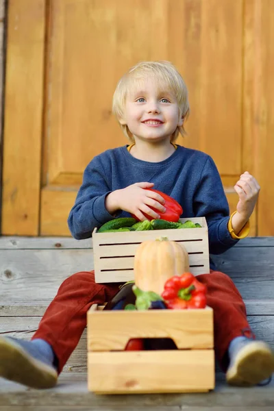 Şirin Küçük Çocuk Ahırın Verandasında Organik Hasadı Seviyor Çocuk Için — Stok fotoğraf
