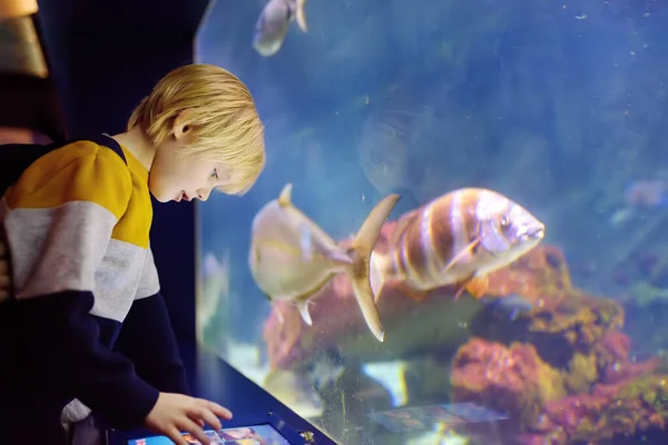 Little Boy Watches Fishes Seaquarium Child Exploring Nature — Stock Photo, Image