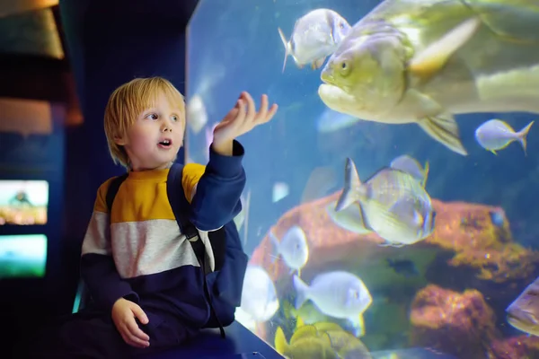 Pequeño Niño Observa Peces Acuario Marino Niño Explorando Naturaleza — Foto de Stock