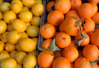 Monako süpermarketinde taze sağlıklı biyo turunçgiller, limonlar ve mandalinalar. Organik vejetaryen yemeği. Arkaplan.