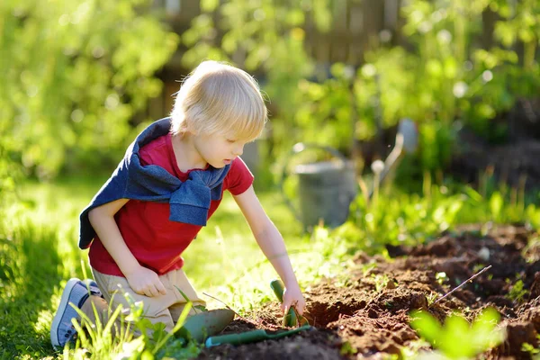 Lille Pojken Gräva Skotta Bakgård Solig Sommardag Mamma Lilla Hjälpreda — Stockfoto