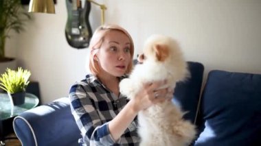 Genç bir kadın 2 aylık Pomeranya tükürük köpeğiyle oynuyor. Şirin tüylü küçük köpek. Evcil hayvanıyla sevecen kadın sahibi.