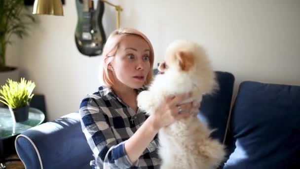 年轻女人和2个月大的波美拉尼亚斯皮茨小狗玩耍 可爱的毛绒绒小狗 宠爱家养宠物的女主人 — 图库视频影像