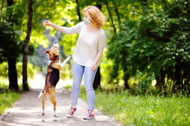 Coronavirus salgını sırasında parkta Beagle köpeğiyle oynayan tek kullanımlık tıbbi maske takan güzel bir kadın. Evcil hayvan yürüyüşü. Covid-19 salgını devam ederken kamusal alanda güvenlik.