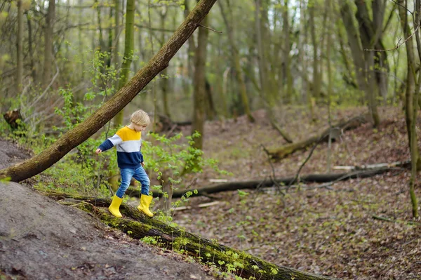 Niño Edad Preescolar Con Botas Lluvia Amarillas Caminando Bosque Después —  Fotos de Stock