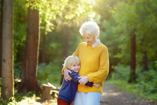 在夏日公园散步时 可爱的孙子温柔地拥抱着他快乐的年迈的祖母 两代人的家庭 — 图库照片