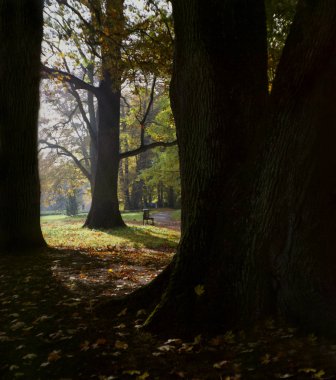 Sonbahar, backgrouds, sonbahar renkleri