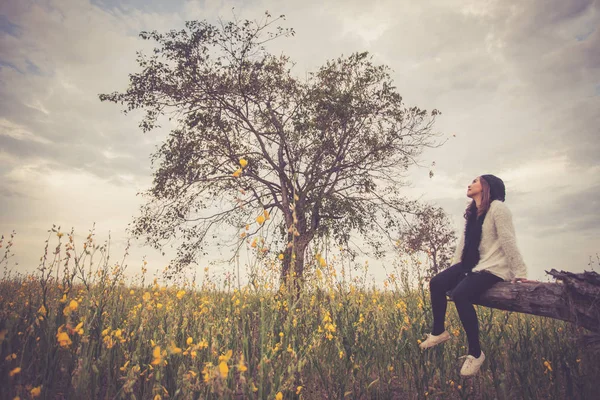 Hermosa mujer asiática en los campos crotalaria, Tailandia — Foto de Stock