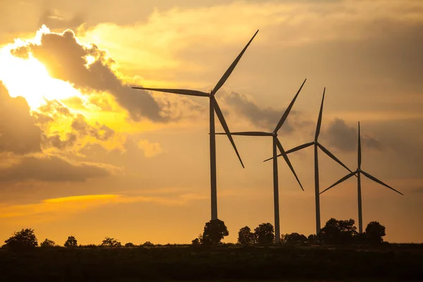 Gros plan sur les éoliennes — Photo