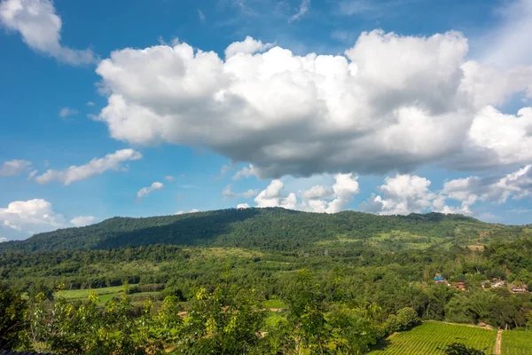 dağ yeşil çim ve bulutlu gökyüzü mavi