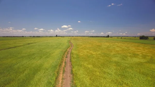 Off road track adventure in farm country — Stock Photo, Image