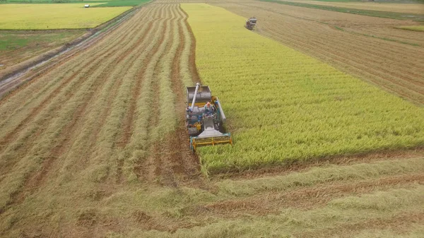 Aerial view of combine on harvest field in Ayutthaya, Thailand — Stock Photo, Image