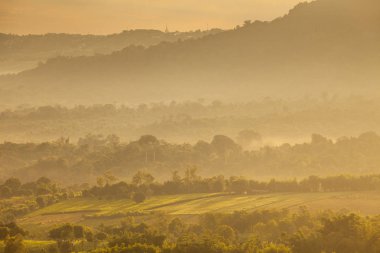dağ yeşil çimen tarafından
