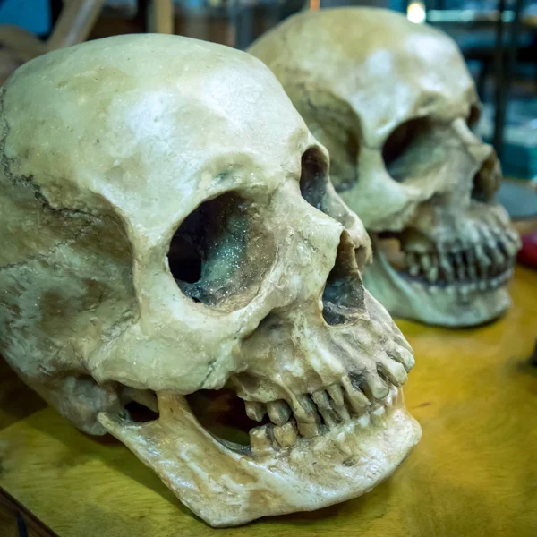 テーブルの上の人間の頭蓋骨 — ストック写真
