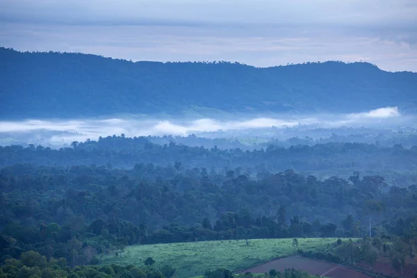 Montaña por hierba verde — Foto de Stock