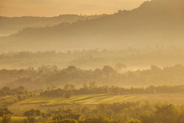 Montagne par herbe verte — Photo