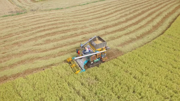 Luftaufnahme eines Mähdreschers auf einem Erntefeld — Stockfoto