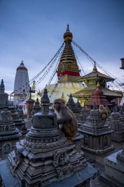 Swayambhunath tapınağı Nep eski bir dini mimari