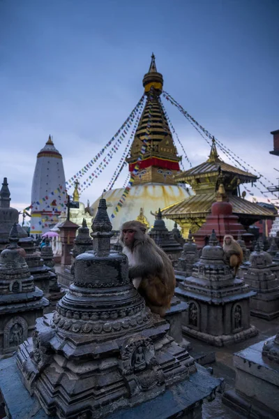 Le temple Swayambhunath est une ancienne architecture religieuse de Nep — Photo