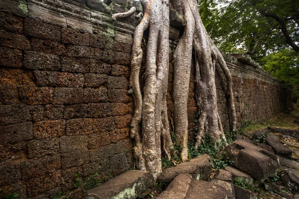Prasat Preah Khan temple, au Cambodge à Siem reap. — Photo
